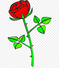 rose flower drawing png 670