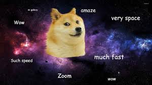 Doge refers to an internet meme that pairs pictures of shiba inu dogs, particularly one named kabosu, with captions depicting the dog's internal monologue. 47 Doge Meme Wallpaper On Wallpapersafari