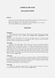 My First Job Essay Awesome Gallery Of Simple Job Resume Examples
