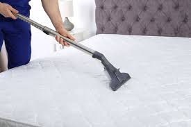 eco safe superior mattress cleaning