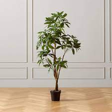 Browse 1,531 money plant stock photos and images available, or search for chinese money plant or money plant vector to find more great stock photos and pictures. Faux Money Tree 5 Reviews Cb2