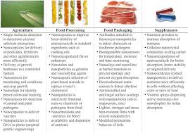 Nanotechnology In Food