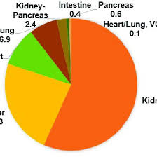 Pie Chart Showing The Breakdown Of Solid Organ Transplants