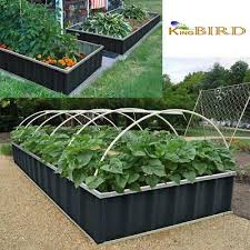 outdoor vegetable planting raised