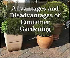 Disadvantages Of Container Gardening