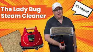 ladybug steam cleaner cheryl unveils