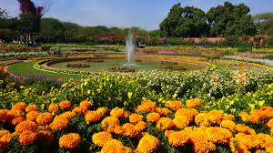 mughal gardens in delhi to open for public