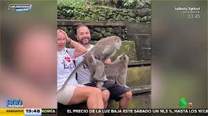 El sorprendente vídeo viral de unos monos apareándose encima de unos  turistas
