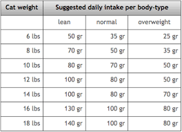 Average Cat Weight Chart Wow Com Image Results Cat
