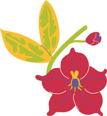 Flower Icon Design Fl Nature Plant