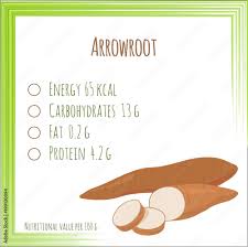 arrowroot nutrition facts flat design
