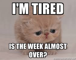 i&#39;m tired is the week almost over? - Super Sad Cat | Meme Generator via Relatably.com