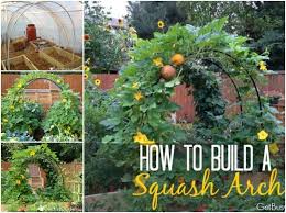 How To Build A Squash Arch