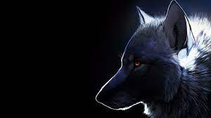 wolf backgrounds hd free