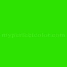 Myperfectcolor Fluorescent Green