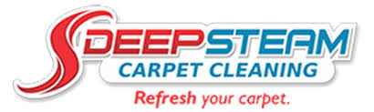 deep steam carpet cleaning in ta fl