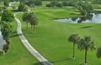 Eagle/Osprey at Okeeheelee Golf Course in West Palm Beach, Florida ...