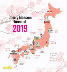 Heres Where You Can See The Cherry Blossoms In Japan This