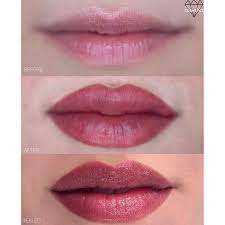 lip blush color guide velvet cosmetic