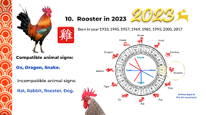2023 zodiac ysis for rooster dog