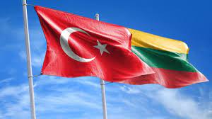Dostluk bağları perçinlendi! Çavuşoğlu ve Linkevicius: Türkiye ve Litvanya  mükemmel ikili ilişkilere sahiptir