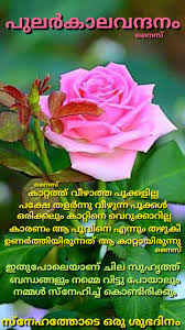 Cute, funny, sweet good morning love quotes with images for her, for him, for husband or wife. Pin By Eron On Good Morning Malayalam Good Morning Wishes Good Morning Flowers Quotes Good Morning Flowers