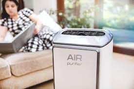 does an air purifier help with mold