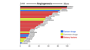 Angiogenesis In 2019 Anti Angiogenic Foods Cancer