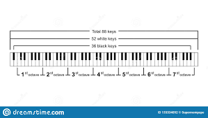 Piano Chords Or Piano Key Notes Chart On White Background