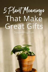 meaningful plants that make great gifts
