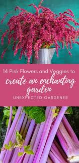 14 Beautiful Pink Veggies And Flowers