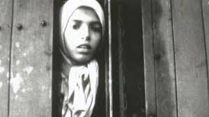 Image result for holocaust photos