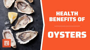 health benefits of oysters why you