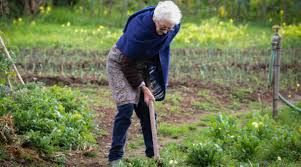 elderly gardening growing old