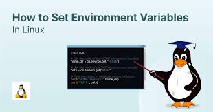 set environment variables in linux