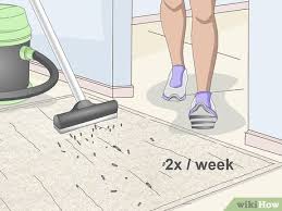 how to clean a wool carpet 13 steps