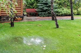 12 ways to fix a soggy yard bob vila