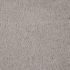 texture carpet cadogan premium