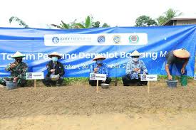 Tugas bahasa indonesia kelompok 4 1. Kpwbi Provinsi Kaltara Bersama Pemkot Tarakan Programkan Dempot Bawang Merah