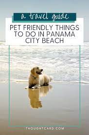 pet friendly panama city beach hotels