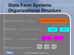 44 Symbolic State Farm Organizational Chart