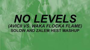 avicii waka flocka flame no levels