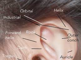 Ear Piercings Your Definitive Guide Grazia
