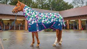 ponyo 100g turnout rug with detachable