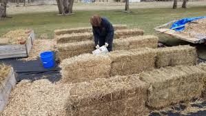 straw bale gardening project part 1