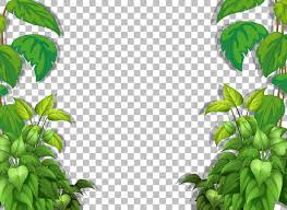 free vector various tropical leaves