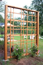 build a modern diy garden trellis