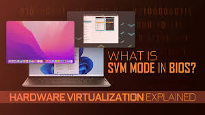 what is svm mode in your bios