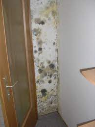 Manchmal ist die ursache schnell erkannt: Schimmel An Wand Und Decke In Der Wohnung Ursachen Erkennen Bekampfen Und Entfernen Schlafzimmer Kuche Badezimmer Fachartikel