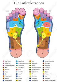 Foot Reflexology German Names Alternative Acupressure And Physiotherapy